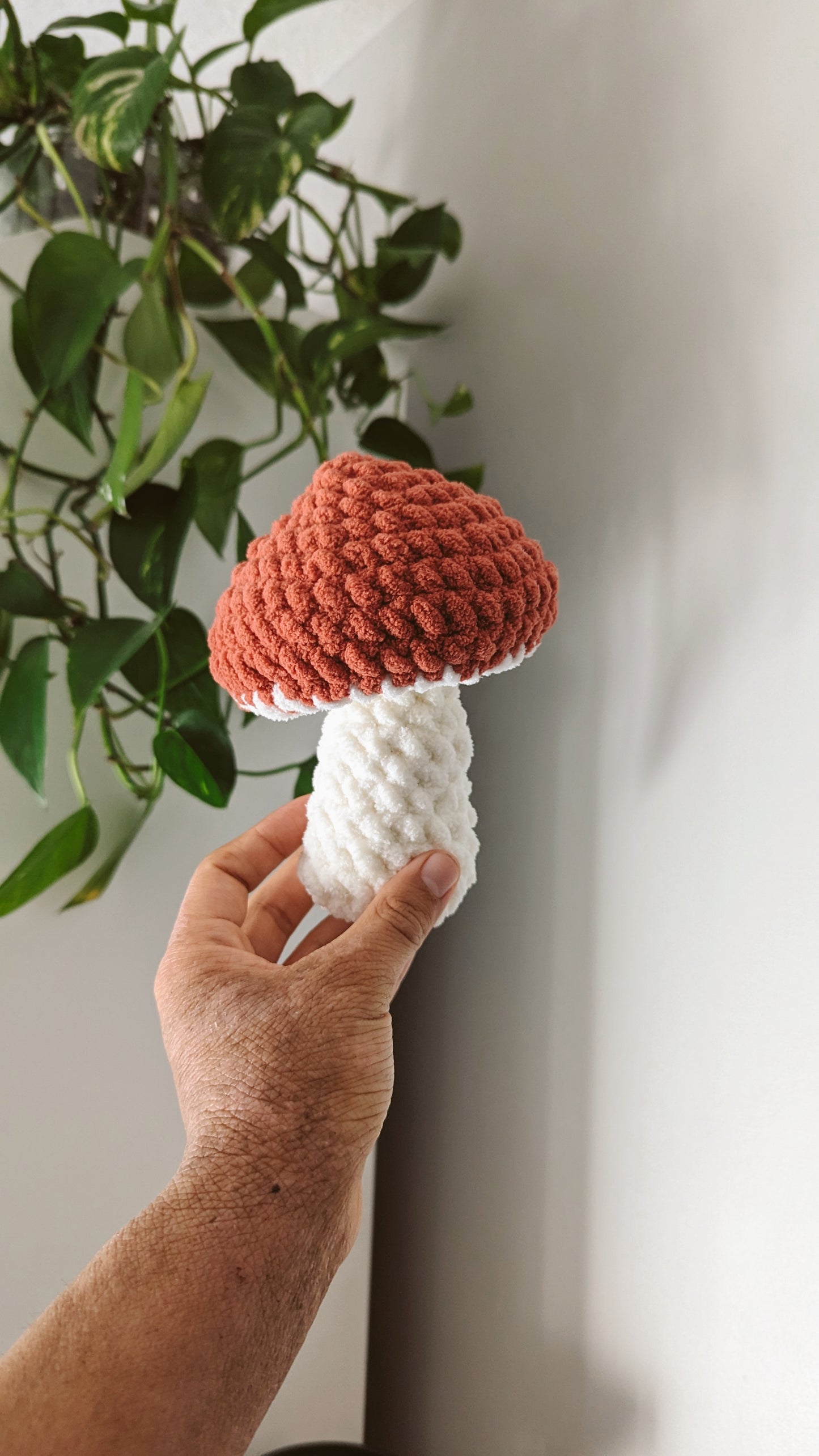 Mini Porcini Mushrooms