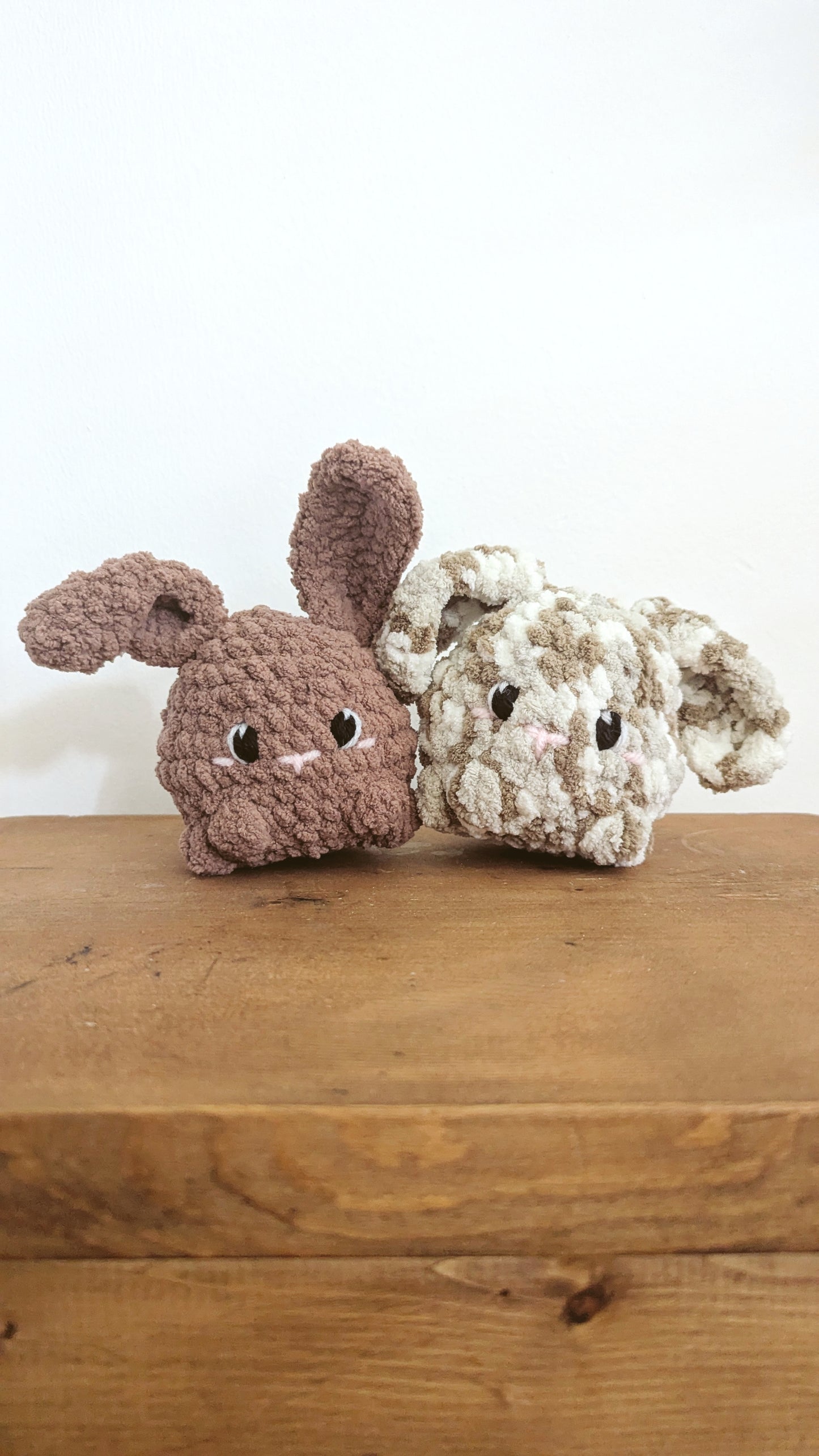 Binx the Chubby Bunny